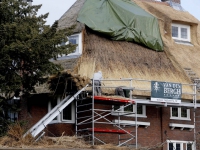 20151103-Rietdekkers-hard-aan-het-werk-op-dak-woning-Oranjelaan-Dordrecht-Tstolk-001_resize