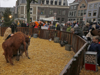 Eerste dag Kerstmarkt Dordrecht