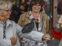 Feest bij het Parkhuis Dordrecht