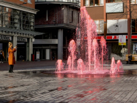 Roze fontein Dordrecht