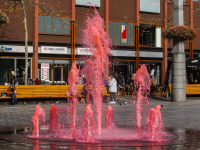 Roze fontein Dordrecht