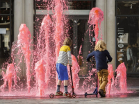 Roze fontein Dordrecht