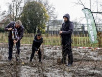 Scholieren planten dubbel Tiny Forest Van Gendtstraat Dordrecht