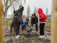 29112021-Scholieren-planten-dubbel-Tiny-Forest-Van-Gendtstraat-Dordrecht-Stolkfotografie-002