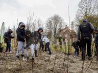 Scholieren planten dubbel Tiny Forest Van Gendtstraat Dordrecht