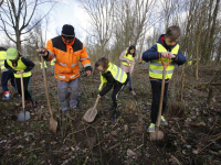 Schooljeugd plant bomen in De Elzen Dordrecht