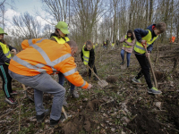 Schooljeugd plant bomen in De Elzen Dordrecht