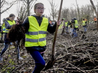 Schooljeugd plant bomen in De Elzen Dordrecht