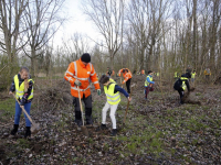 Schooljeugd plant bomen in De Elzen Dordrecht