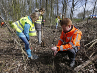 Schooljeugd plant bomen in De Elzen Dordrecht