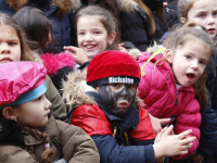 20171811-Sinterklaasintocht-2017-Dordrecht-Tstolk-023