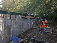 Start sloopwerkzaamheden Dierenasiel Louterbloemen Dordrecht