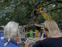 Start sloopwerkzaamheden Dierenasiel Louterbloemen Dordrecht