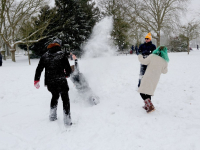 Sneeuwballen gevecht in Weizigtpark