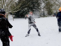 Sneeuwballen gevecht in Weizigtpark