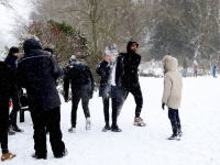 Sneeuwballen gevecht in Weizigtpark