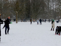 Sneeuwballen gevecht in Weizigtpark