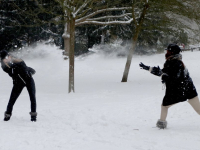 Sneeuwballen gevecht in Weizigtpark