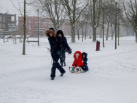 07022021-Met-de-slee-door-het-sneeuw-Leerparkpromenade-Dordrecht-Tstolk