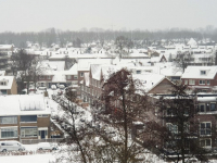 Overzichtsfoto van besneeuwde daken Dordrecht