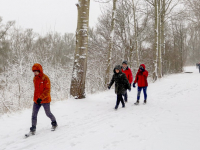 Wandelen door de sneeuw in de Hollandse Biesbosch Merwelanden Dordrecht Tstolk