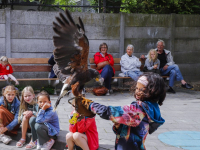 Afsluiting zomerschool met roofvogeldemonstratie Basisschool De Wereldwijzer Dordrecht