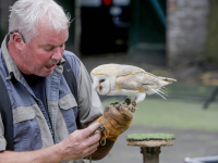 Afsluiting zomerschool met roofvogeldemonstratie Basisschool De Wereldwijzer Dordrecht