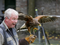 Afsluiting zomerschool met roofvogeldemonstratie Basisschool De Wereldwijzer Dordrecht