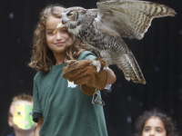 Afsluiting zomerschool met roofvogeldemonstratie Basisschool De Wereldwijzer Dordrecht