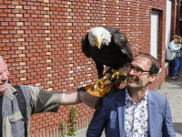 Afsluiting zomerschool met roofvogeldemonstratie Basisschool De Wereldwijzer Dordrecht