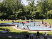 Gezellig druk bij De Paddestoel Dordrecht