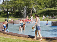 Gezellig druk bij De Paddestoel Dordrecht