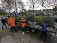 Inzamelen van kerstbomen en vuurwerk