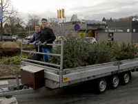 Inzamelen van kerstbomen en vuurwerk