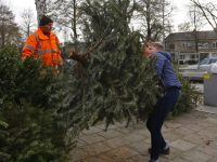 Inzamelen van kerstbomen en vuurwerk