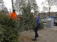 Inzamelen van kerstbomen en vuurwerk