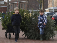 Inzamelen van kerstbomen en vuurwerk