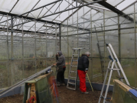 Herbouwen stadslandbouwkas gestart