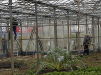 Herbouwen stadslandbouwkas gestart