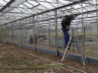 Herbouwen stadslandbouwkas gestart