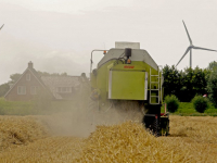 Dordtse boeren zijn druk bezig met het tarwe van het land af te halen Dordrecht