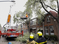 Stormschade boom op dak Sophiastraat Dordrecht