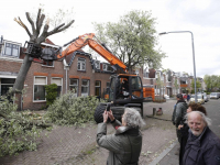 Stormschade boom op dak Sophiastraat Dordrecht