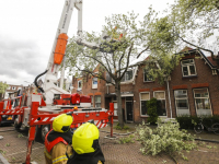 Stormschade boom op dak Sophiastraat Dordrecht
