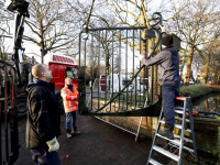 Hekken Park Merwestein hangen weer op zijn plek Dordrecht