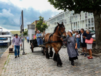 Met paard en wagen twee duizend kio vervoeren naar molen Kyck over den Dyck Noordendijk Dordrecht