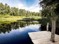 Trekpontje in De Elzen kapseist te makkelijk Dordrecht