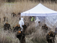 Wandelaars vinden stoffelijk overschot in riet Generaal SH Spoorpad De Staart Dordrecht
