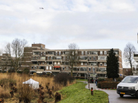 Wandelaars vinden stoffelijk overschot in riet Generaal SH Spoorpad De Staart Dordrecht