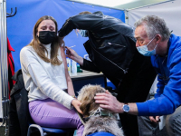 \'Vaccinatiehond\' Sara staat acht mensen bij met vaccinatieprik Dordrecht